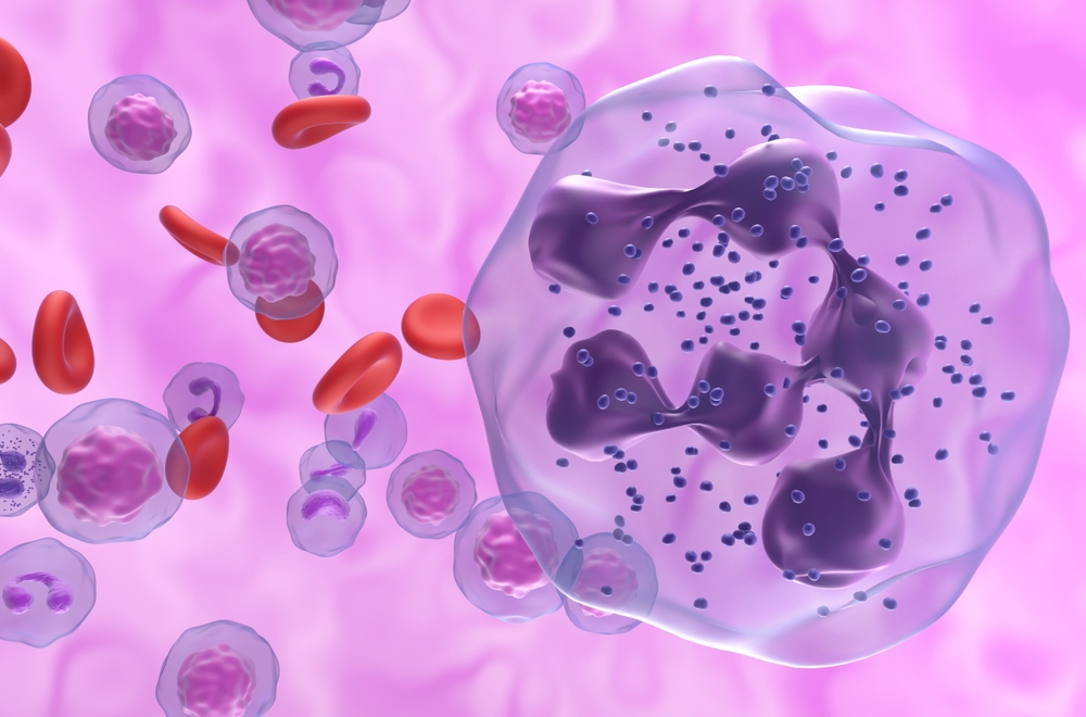 You are currently viewing Neutropenia – co oznacza niski poziom neutrofili?